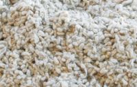 COTTONSEED, WHOLE