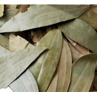 Dried Bay Leaves