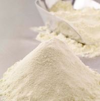 Skimmed Milk Powder