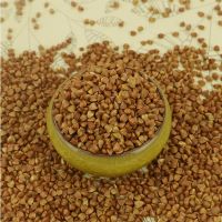 Raw Buckwheat/ Roasted  buckwheat