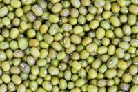 Green mung beans for sale