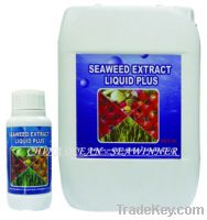 Sell Seaweed extract liquid plus