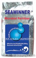 Sell SEAWINNER Microbial Fertilizer (anti-rotating)