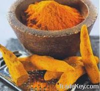 Offer To Sell Turmeric