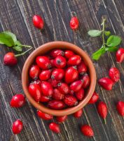 Rosehip Fruit