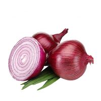 Fresh high quality Onions