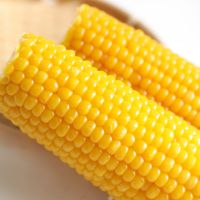 High Quality Yellow Corn Max Animal Style Storage Color Origin Type Drie