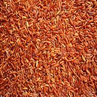 High Quality Nutritious Red Cargo Rice good for healthy