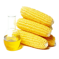 Ukranian-Top Selling Non GMO Yellow Maize/Corn Cheap Price