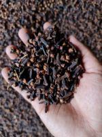 Cloves AA Grade Produced in Indonesia