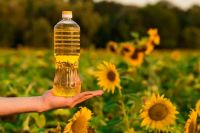 Ukrainian Refined Sunflower Oil from Manufacturer