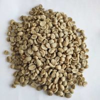 Cheap High quality Robusta & Arabica Coffee beans