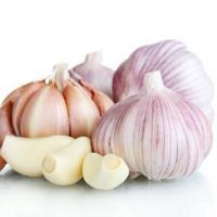 garlic