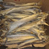 Tusk Dry Stock Fish Cod