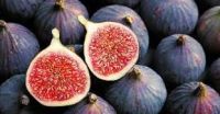 Figs