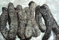 Dried SEA CUCUMBERS