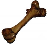 Sell Beef Femur Bone Chew Treats for Dogs & Cats