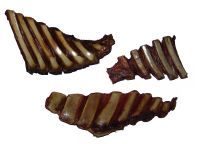 Sell Smoked Ribs Chew Treats for Dogs & Cats