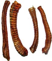 Sell Smoked Trachea Chew Treats for Dogs & Cats