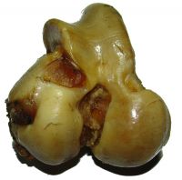 Sell Smoked Knuckle Bone Chew Treats for Dogs & Cats