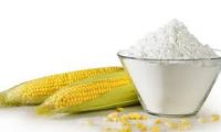 Native Modified Corn Starch Price Maize Starch For Edible