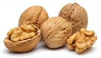 Hot selling walnut thin shell organic walnuts in shell supplies price