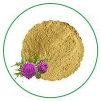 Milk Thistle Extract Powder Silymarin 10:1 Milk Thistle Extract High Quality Milk Thistle Extract Powder