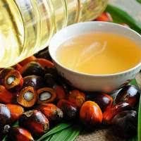 RBD Palm Oil CP10 Refined Vegetable Oil Suppliers and Producers