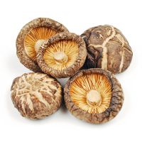 Dry shiitake mushroom