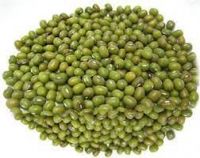 Green Mung Bean