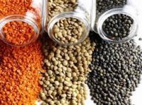 Best Quality Green Lentils, Red Lentils, Brown Lentils