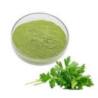 Pure Organic Instant Parsley Juice Extract Powder With Best Price