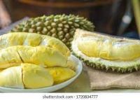 Large supply of Thailand golden pillow fresh fruit frozen durian meat