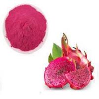 Red Dragon Fruit Powder for instant fruit tea