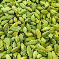 Fresh Green Cardamom Indian Green Cardamom High Quality Bold Green Cardamom