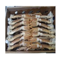 Premium grade certified raw-frozen opilio snow crab clusters 2L size frozen seafood products for sale