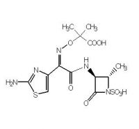 Sell Aztreonam API