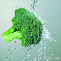 Sell Broccoli Ext