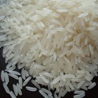 KDM RICE CROP 2021/ WA: +84352310575