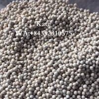 WHITE PEPPER PREMIUM GRADE VIETNAM ORIGIN/ KATE +84352310575