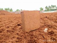 Compressed washed cocopeat