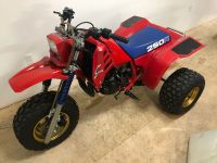 1985 Hon ATC da ATC 250R (Tecate, 350X, Tri-Z, Banshee, Quadracer)