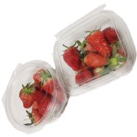 Clear Clamshell Food Container Supplier