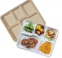 PLA Foam 5 Compartment Compostable Lunch Tray