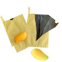 Hot Selling Fruit Protection Bags Wax Coated Paper Mango Growing Bag