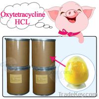 Sell Oxytetracycline HCL Oxytetracycline Base