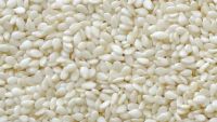 Hulled White Sesame Seeds