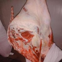 Halal Meat / Halal Frozen Beef Meat / Body Beef COW and BUFFALO