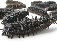 Dried Sea Cucumber for sale