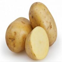 Fresh Potatoes, Irish Potatoes / Bulk Wholesale Factory Organic Fresh Potato Diamond with High Quality